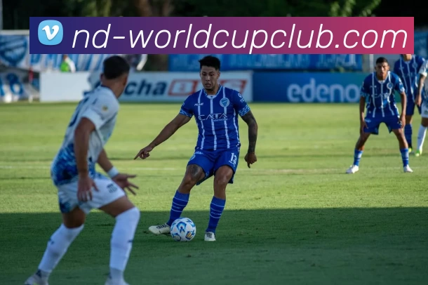 世俱杯体育投注平台生态图