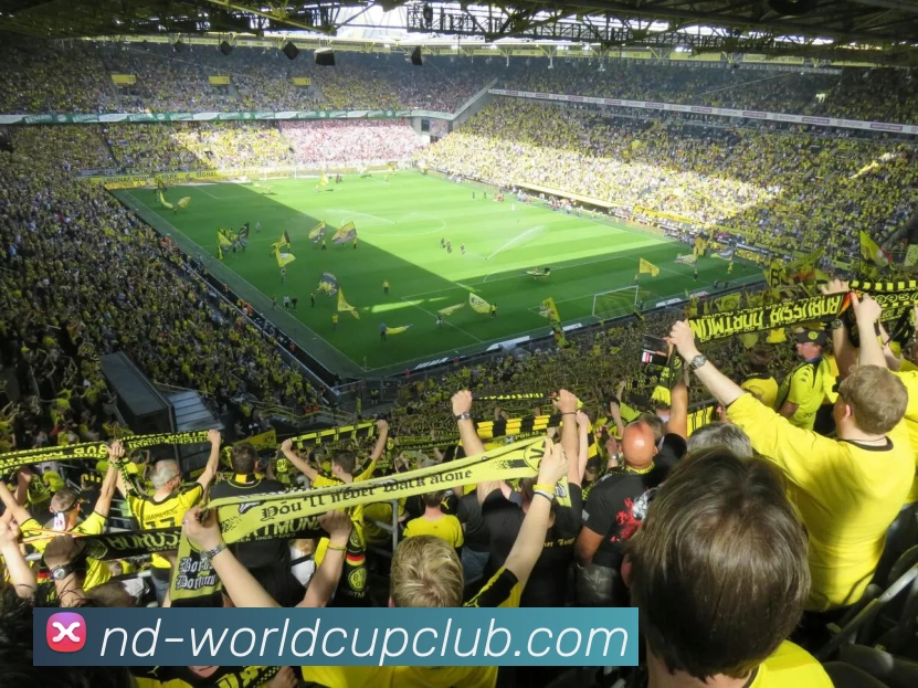 世俱杯体育投注APP 封面图